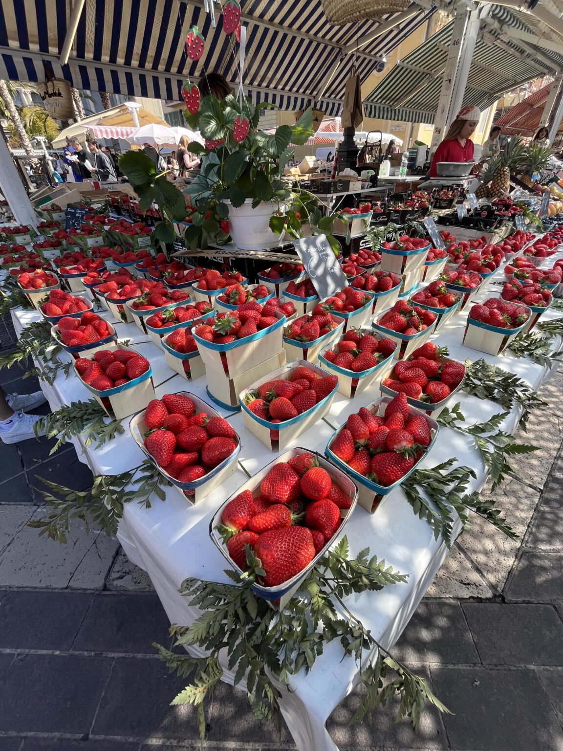 img 0251