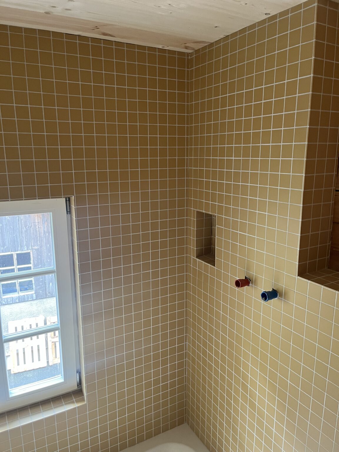 img 0703